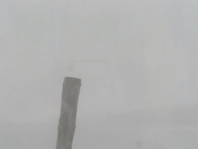 もっと吹雪中　室内から見た車14:00