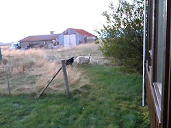 photo essay